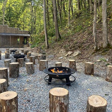 Cozy Cove Retreat W Lake View Hot Tub Firepit Dandridge Ngoại thất bức ảnh